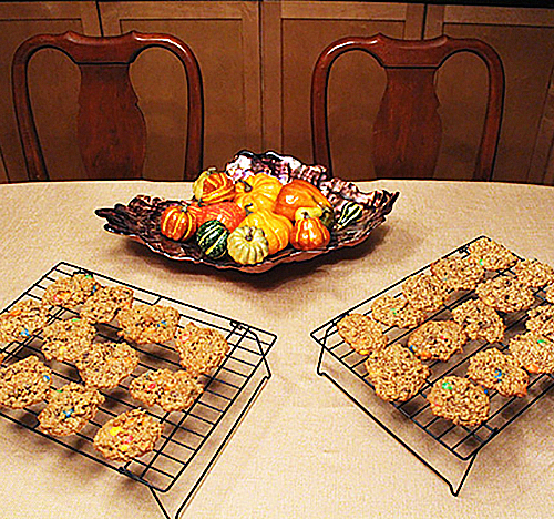 Swellie Ellie’s Monster Cookies