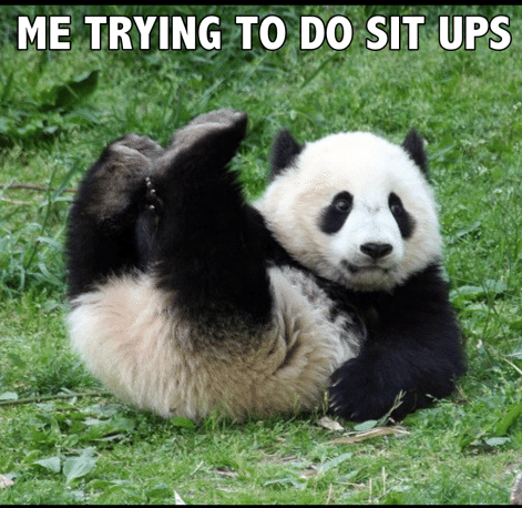 me-trying-to-do-sit-ups-funny-panda-memes-533345271 | me-trying-to-do-sit-ups-funny-panda-memes-533345271 |