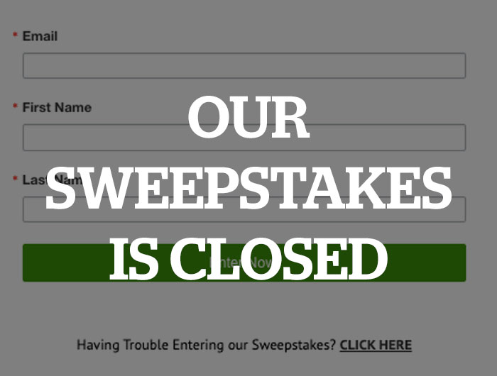 SpringIntoBlingSweepCloseStamp