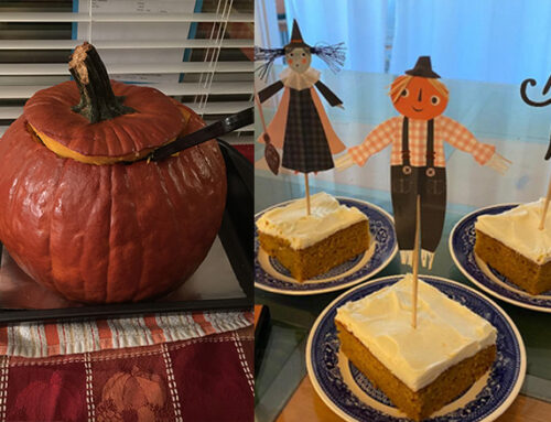 A Pumpkin For Every Occasion!